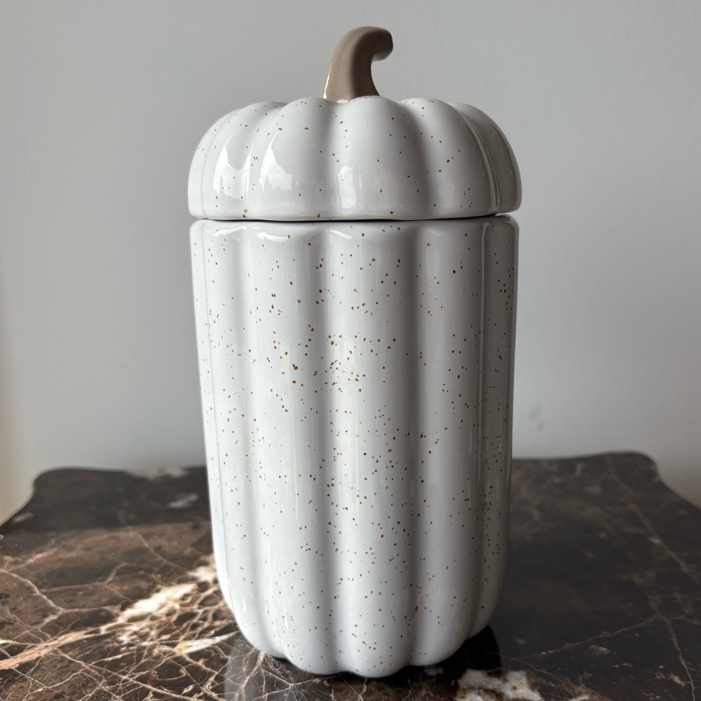 NEW White Speckled Pumpkin Jar